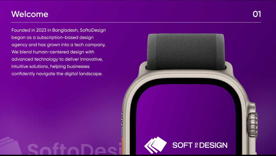 Business meeting - SoftoDesign team collaboration